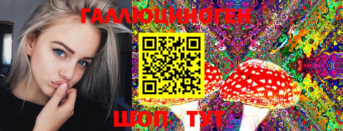 Галлюциногенные грибы Psilocybe  Вход с VPN  Куйбышев 